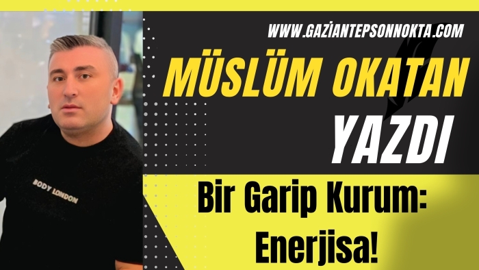 Bir Garip Kurum: Enerjisa!